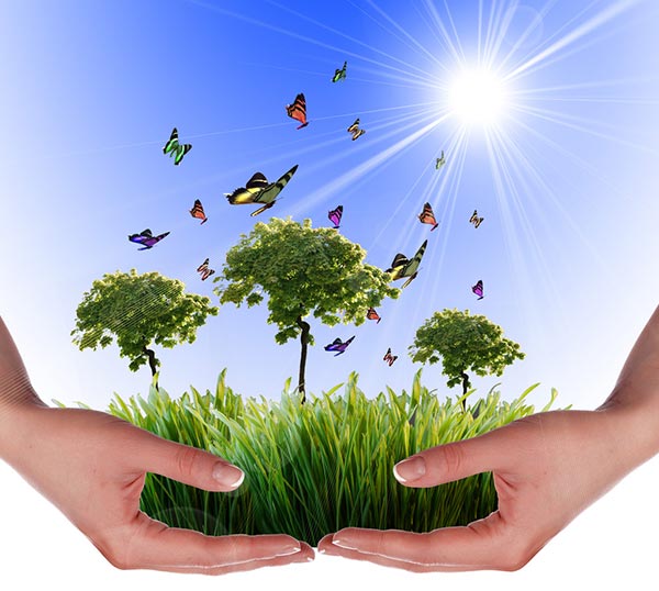 工業(yè)污泥烘干機(jī)環(huán)保收益 工業(yè)污泥烘干機(jī)環(huán)保收益